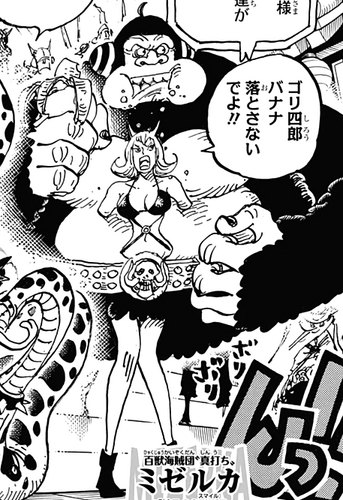 Mizerka | One Piece Wiki | Fandom