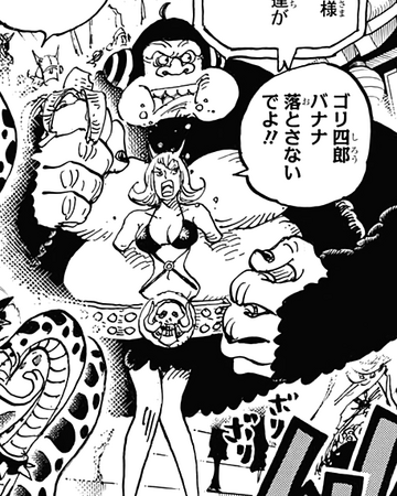 Mizerka One Piece Wiki Fandom