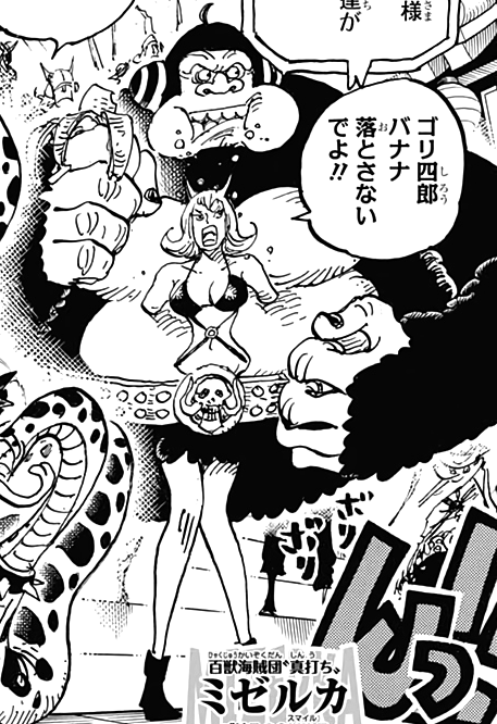 Mizerka One Piece Wiki Fandom