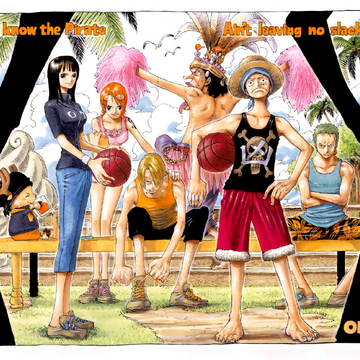 Chapter 293 One Piece Wiki Fandom