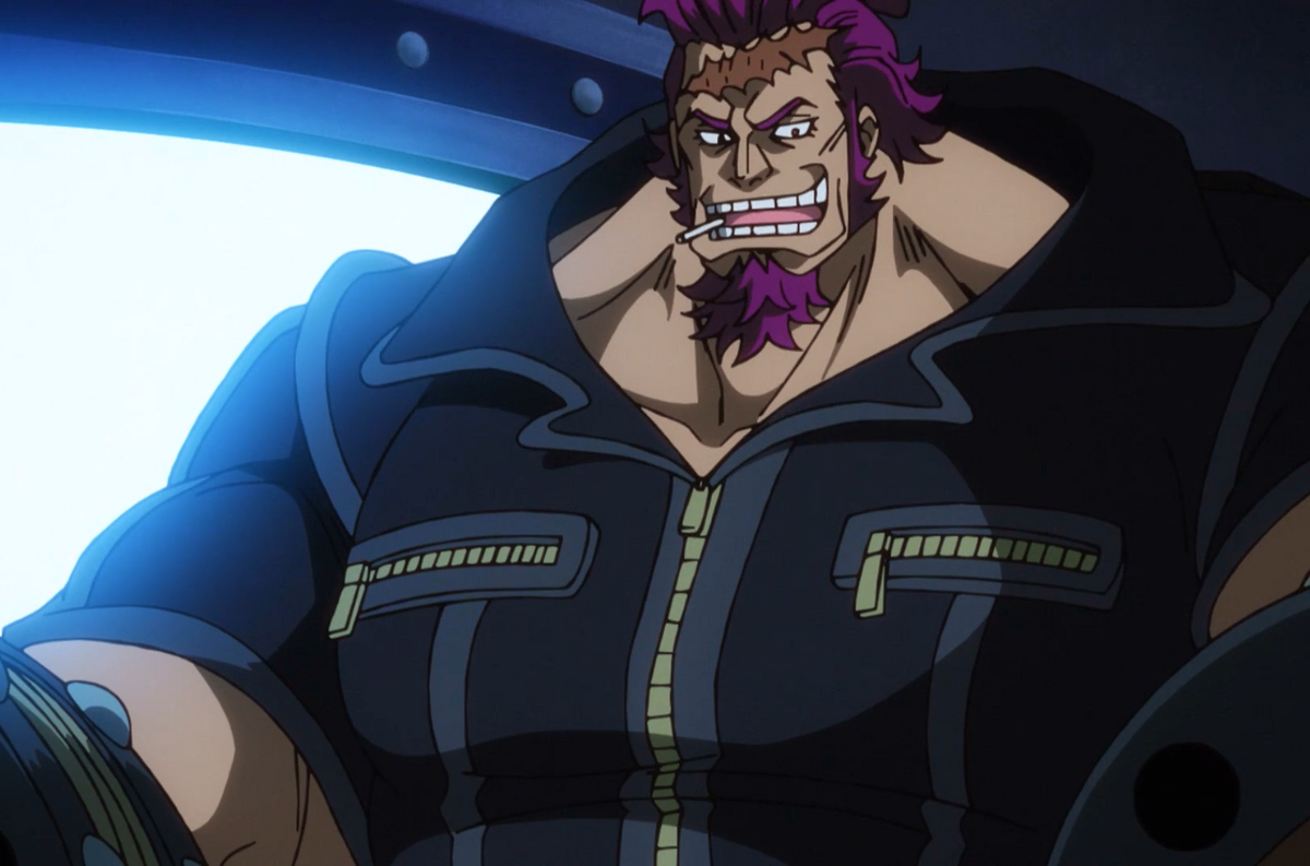 Bounty Hunter, One Piece Wiki