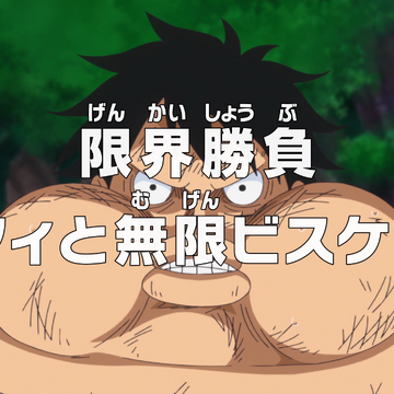 Episode 805 One Piece Wiki Fandom