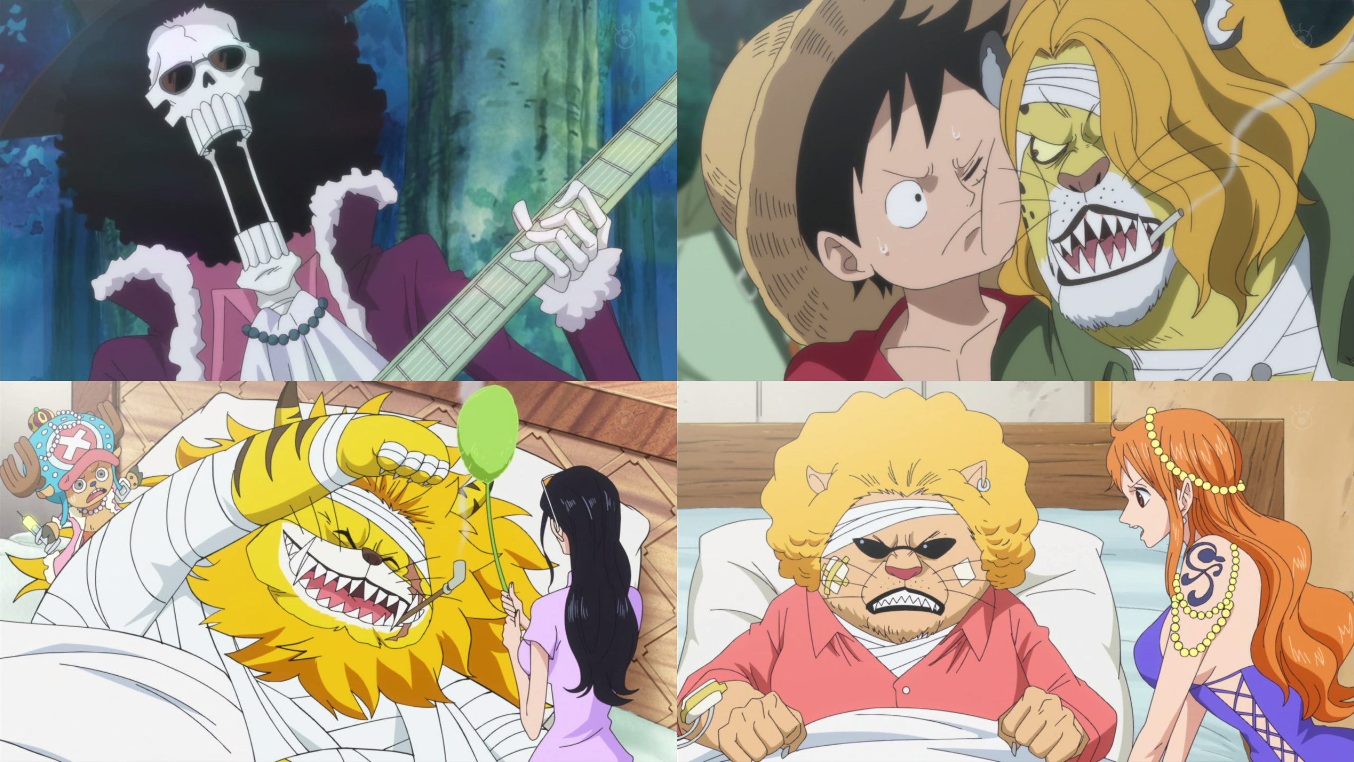 Episodio 765 One Piece Wiki Fandom