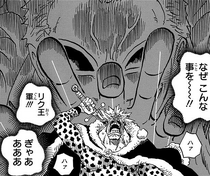 Riku Doldo Iii One Piece Wiki Fandom Riku Doldo Iii One Piece Wiki Fandom