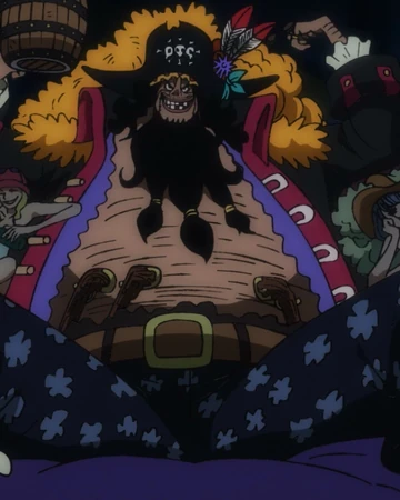 Marshall D Teach One Piece Wiki Italia Fandom