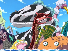 Arco Del Dragon Milenario One Piece Wiki Fandom Arco Del Dragon Milenario One Piece Wiki Fandom