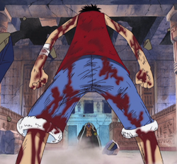 Monkey D. Rufy, One Piece Wiki Italia