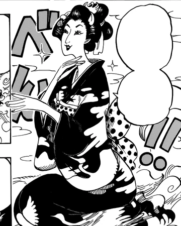 鶴女 航海王wiki Fandom