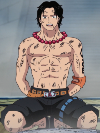 Portgas D Ace One Piece Wiki Fandom