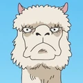 Alpacacino