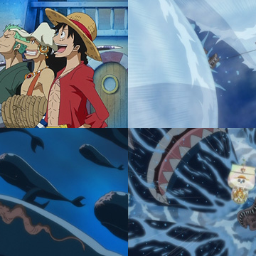 Episodio 574 One Piece Wiki Fandom