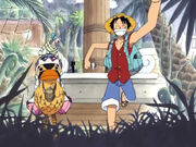 Luffy, Vivi und Karuh gehen auf Erkundungstour