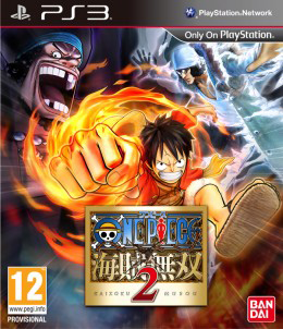 one piece pirate warriors 2 pc company name