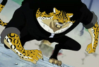 Neko Neko no Mi, modèle Léopard Forme Hybride Anime Infobox.png