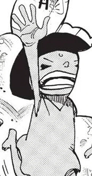 Ally | One Piece Wiki | Fandom