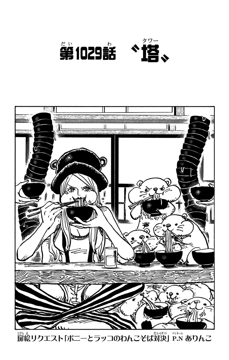 Chapitre 1029 One Piece Encyclopedie Fandom