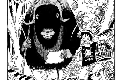 Chapter 412 | One Piece Wiki | Fandom