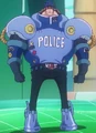 Pacifista Police