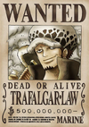 King The Conflagration Wanted Poster One Piece Bounty Poster