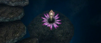 Cave Island's Second Ordeal Tree
