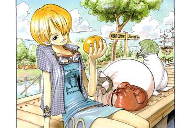 One Piece 81, Nami Asks For Help One of the Best Chapters