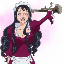 Baby 5 One Piece Wiki Fandom