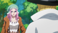 Jewelry Bonney, One Piece Wiki, Fandom