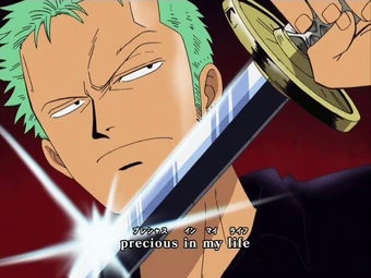 Bon Voyage One Piece Encyclopedie Fandom