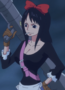 Baby 5 One Piece Wiki Fandom