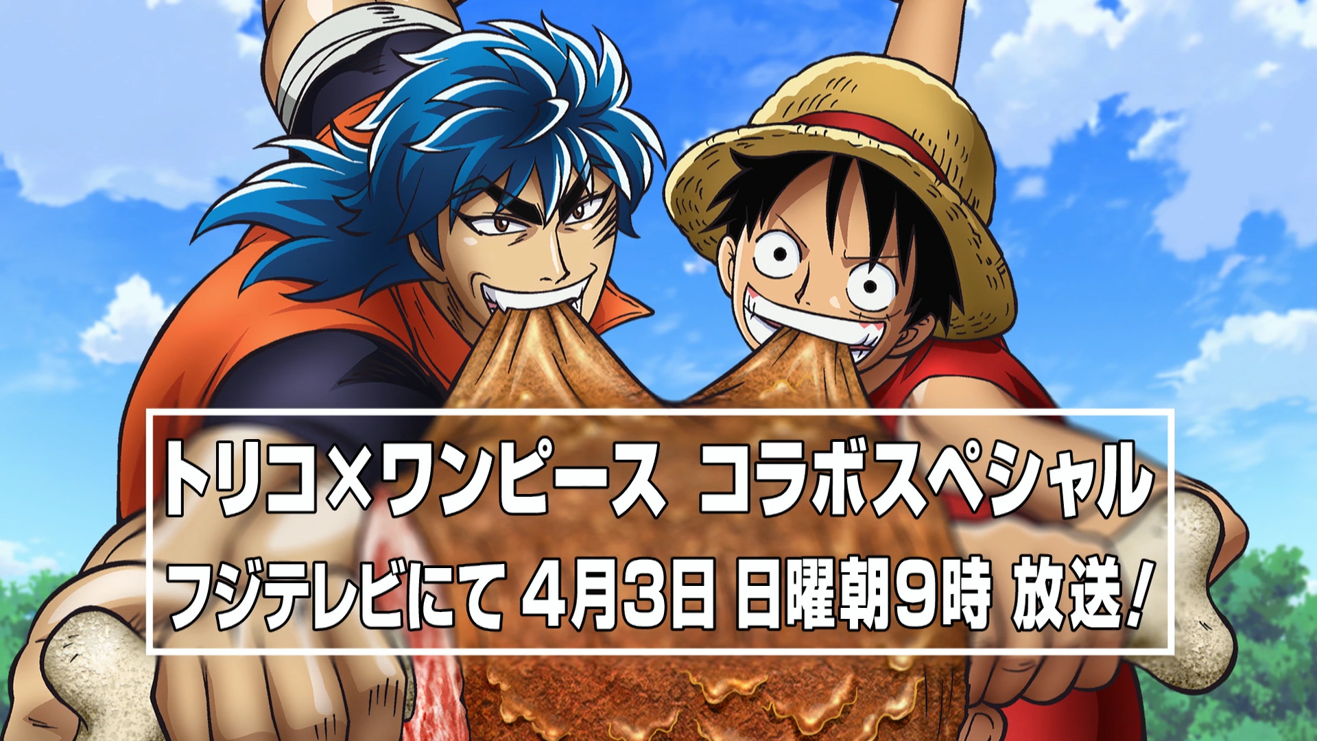 Episode 491 | One Piece Wiki | Fandom