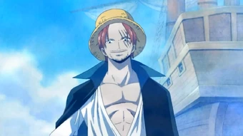 Fight Together One Piece Encyclopedie Fandom