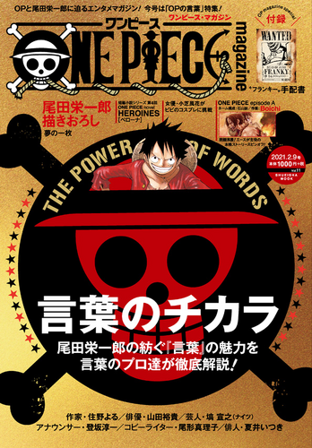 One Piece Magazine Vol. 11
