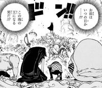 The Elite Officers Swear Loyalty to Doflamingo