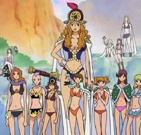 L'altezza di Aphelandra rispetto alle altre Kuja.