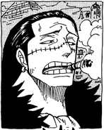 Poprzedni list gończy Crocodile'a.