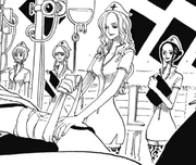 Infirmières de barbe blanche