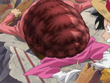 Kame Kame no Mi