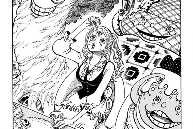 Chapter 1029 | One Piece Wiki | Fandom