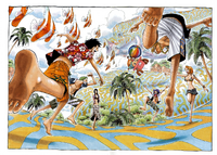 Cover Page One Piece Wiki Fandom