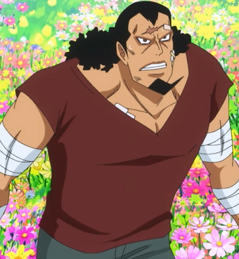 Kyros One Piece Wiki Fandom