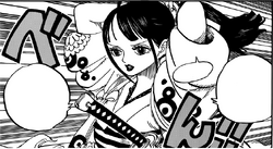 菊之丞 航海王wiki Fandom 菊之丞 航海王wiki Fandom