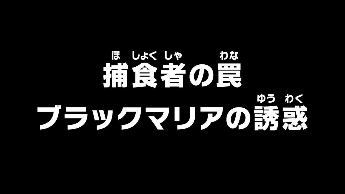 Episode 1042 One Piece Wiki Fandom