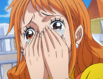 Nami Sees New Bounty