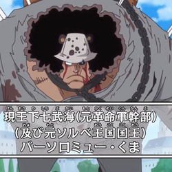 Category 王下七武海 航海王wiki Fandom