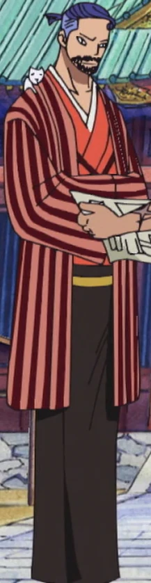 Iceburg One Piece Wiki Fandom