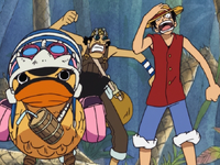 Luffy, Usopp, and Karoo Charge In