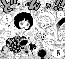 Punk Hazard Arc, One Piece Wiki