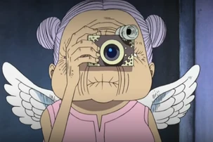 Amazon se renseignant sur les Mugiwara