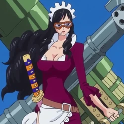 Categorie Personnages De Dressrosa One Piece Encyclopedie Fandom Categorie Personnages De Dressrosa One Piece Encyclopedie Fandom
