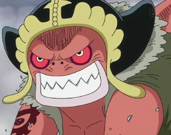 達摩 航海王wiki Fandom